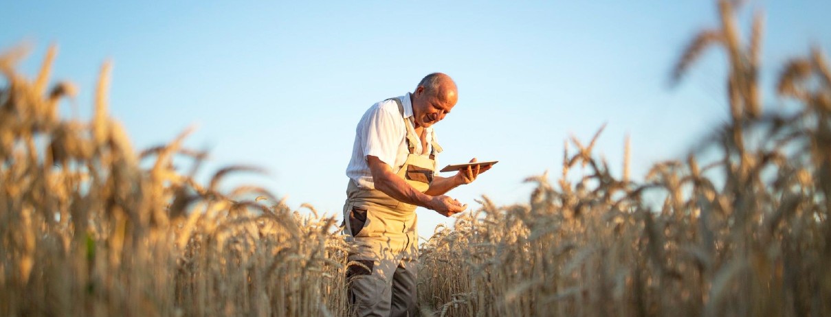 Grain grower reviewing operations on a tablet